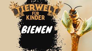 Folge 9: Bienen - Tierwelt für Kinder - Lernvideo auf Deutsch