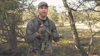 How to Use the Mac Daddy Elk Call | Hunters Specialties