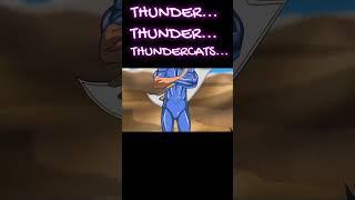 THUNDER…THUNDER…THUNDERVERSE HOOOO!  #thundercats #silverhawks #tigersharks #memes #multiverse