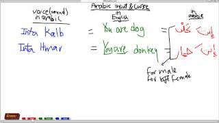 Learning arabic Insults (Curses)