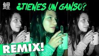 ¿Tienes un Ganso? 鯉 Remix !