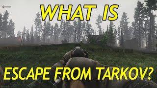 Beginners Guide: What is Escape From Tarkov? - Explained