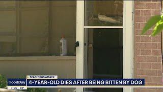 Dallas 4-year-old dies after being bitten by dog