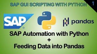 Automate SAP Spreadsheets Export with Python and Analysis with Pandas in a single Python script
