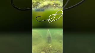 Easiest way to tie fishing hook  সবচেয়ে সহজে বড়শি বাধার নিয়ম