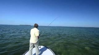 Kara's First Tarpon