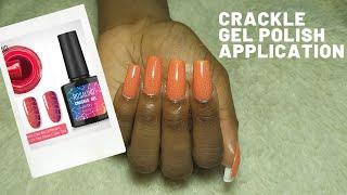 Crackle Gel Polish Application - How To Get the Crackle Effect || Glitters & Polish Nail Channel