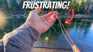 How to Cast Multiple Flies w/o Tangles