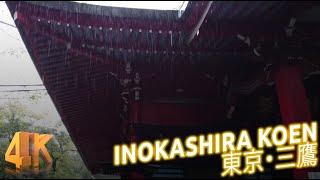 Relaxing rain at Benzaiten Shrine in Inokashira Koen, Tokyo [4K 60p ASMR audio]