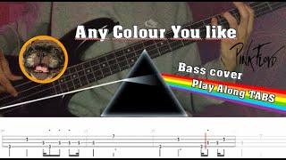 Any Colour You Like - Bass Cover w/ TABS (Play Along)