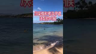 心理 荣格和弗洛伊德决裂后 遭遇了中年危机 他在这段时间只做了一件事情 最终封神 #Shorts