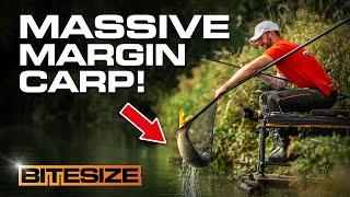 Catch more carp in the margins! | Guru Bitesize #037