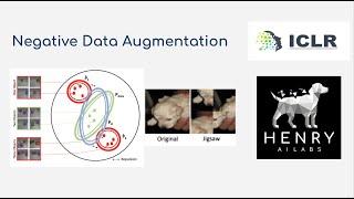 Negative Data Augmentation