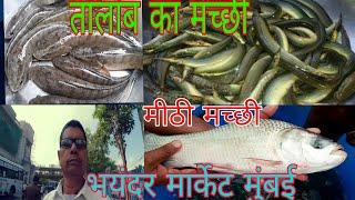 लोकल मीठी मच्छी मार्केट भयंदर मुंबई | Bhayandar Mumbai fish market | BharatKhan1