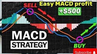 Easy MACD Indicator Forex Trading Strategy To Grow Your Small Trading Account #Forex#bestforex#gold