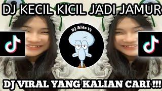 DJ KECIL KECIL SUDAH JADI JAMUR JANDA JANDA DI BAWAH UMUR | DJ  VIRAL TIKTOK 2023 |