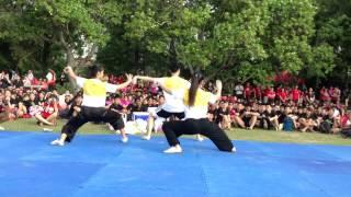 VJC Wushu CNY Performance 2013