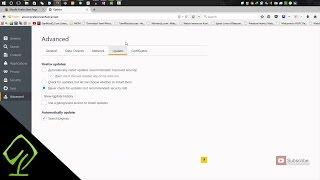 How to Disable auto updates on Mozilla firefox
