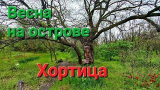 Остров Хортица.  Дуб с бетонным стволом. Три мачты. Славянские капища. Тунель на Малых камнях.