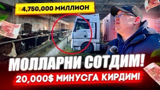 МОЛЛАРНИ СОТДИМ! 4,750,000 МИЛЛИОНГА! 20,000$ МИНУСГА КИРДИМ!​⁠@TOMOSHATVN1