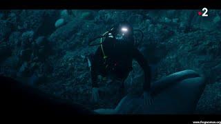 Female diver with FFM finds alien creature and gets in trouble!