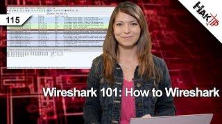 Wireshark 101: How to Wireshark, Haktip 115