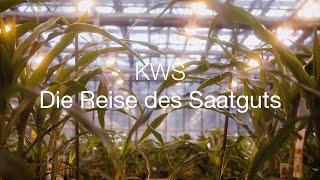 KWS − Die Reise des Saatguts