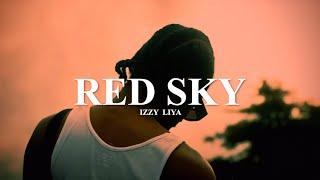 Dancehall Riddim Instrumental 2024 "Red Sky" prod. Izzy Liya