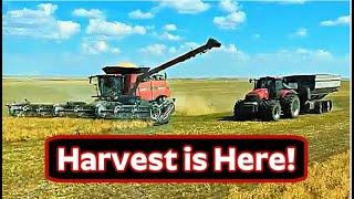 They'll Never Know!  (Video 1 of Harvest 2024)