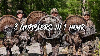 Turkey Hunting- 3 GOBBLERS in ONE hour!