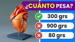 ¿Cuánto Sabes del CUERPO HUMANO? ️ | 35 Preguntas y Respuestas sobre el Cuerpo Humano ‍️