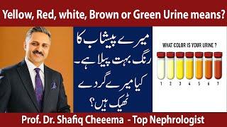 What does color of your urine means | Explained by The Best Nephrologist