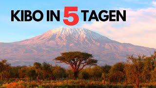 In 5 Tagen auf den Kilimanjaro | Reportage | Documentary