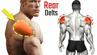 افضل تمارين الكتف الخلفي - Rear Delts Exercises