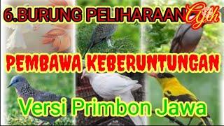 6. Keberuntungan jika pelihara Jenis Burung ini..