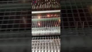 Welded Wire Mesh Feature #homedecorative #machine #metalmesh #building #factory #harware