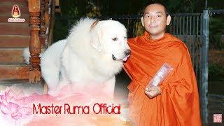 [Master Ruma Official] Minh Sư Ruma & Những Người Bạn Nhỏ l Phần 4