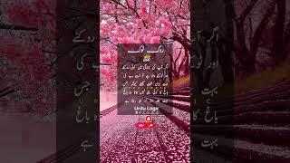 Rok Tok #urdu  #quotes #trending #shorts #short #urdulogic #motivation #motivational #inspirational