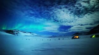 A Very Arctic Christmas: Iceland, Greenland & Winter Wonders