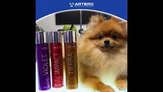 ARTERO Perfumes for pets