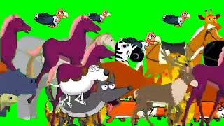 Cartoon animals stampede green screen compilation‼️