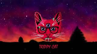 TRIPPY CAT MINIMAL TECHNO HELL 2019 BEST OF SUMMER MIX