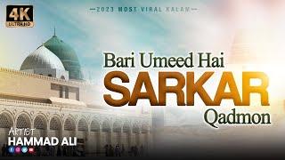 Bari Umeed Hai Sarkar Qadmon | Hammad Ali | New Kalam