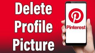 How To Delete Profile Picture In Pinterest 2022 | Pinterest Profile Photo Change Help, Pinterest App