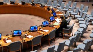 UN Security Council on 'multilateral co-operation for democratic and sustainable world order'