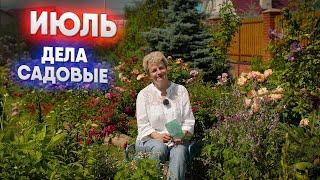 Июль   дела садовые