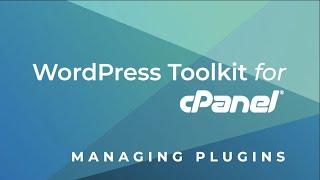 How to Install Wordpress Themes and Plugins Using WordPress Toolkit