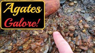 I Found The Source Of Agates! | Oregon Coast Rockhounding