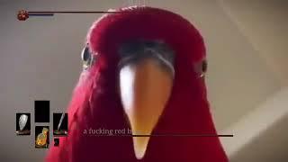 Dark souls. Red bird meme. #shorts