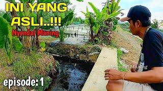 Begini Jadinya..!!! Jika Mancing Sehabis Hujan Besar ‼️ Auto Panen Ikan Bawal